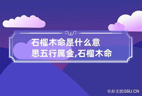 石榴木命 什么意思|石榴木命是什么意思